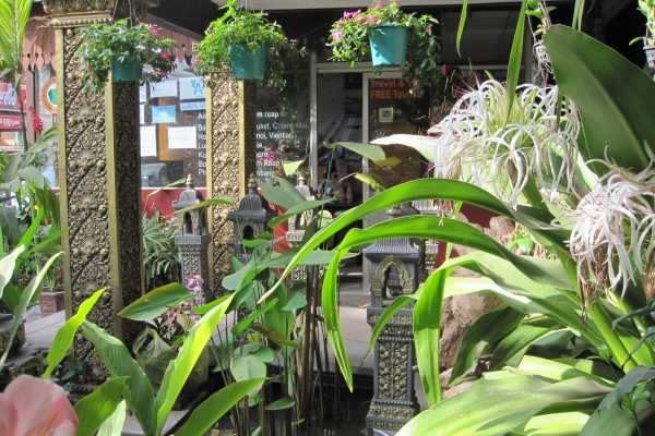 Popular Boutique Hotel (Siem Reap)